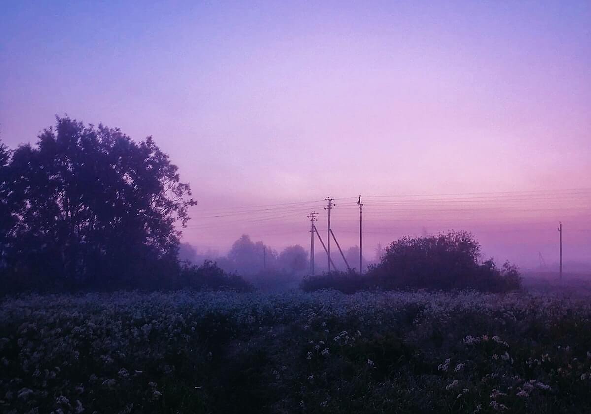 独步欧洲！哈兰德欧冠赛场铸就非凡神迹